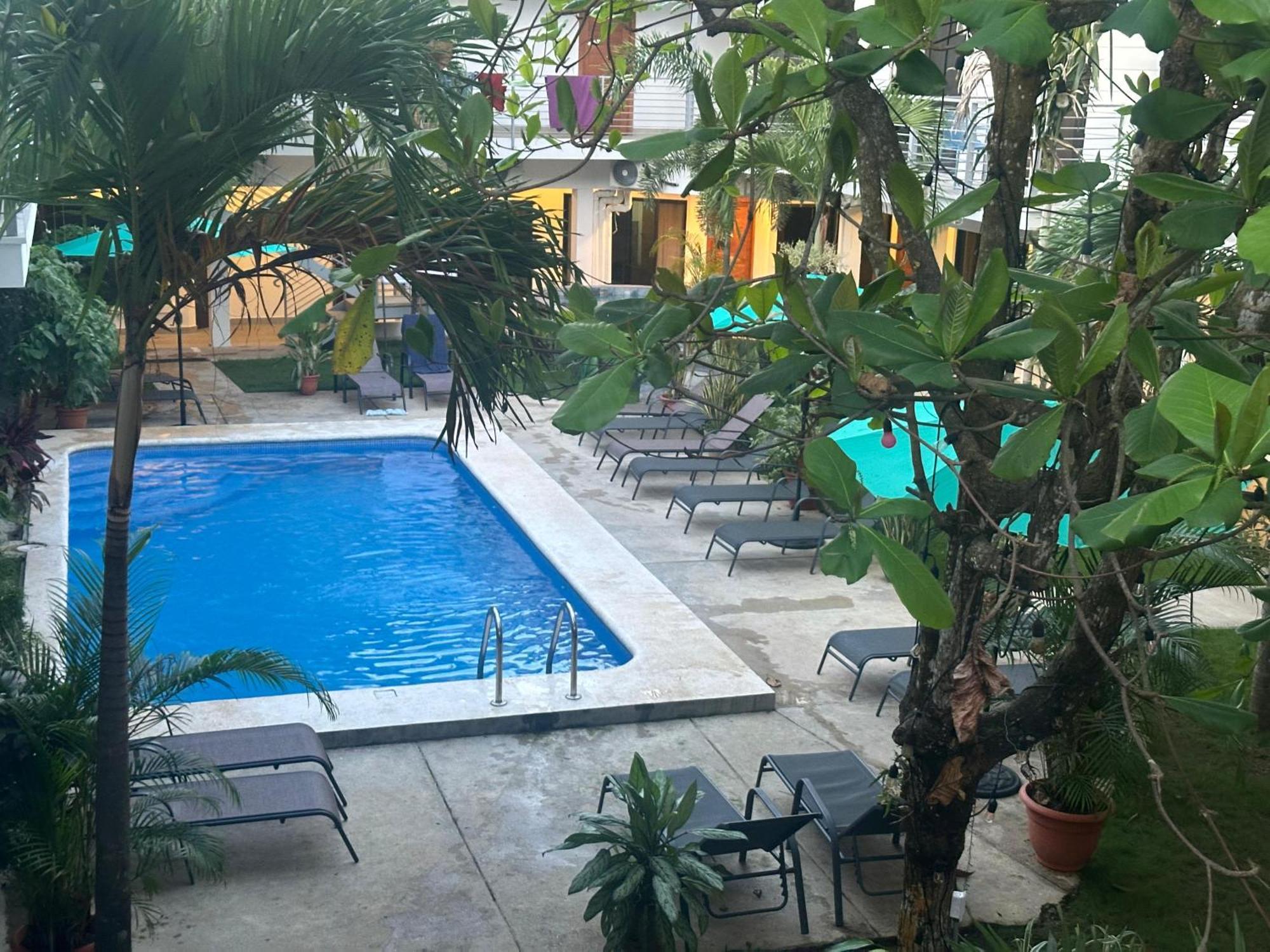 Private Fully Furnished Home At Wide Mouth Frog Hostel Quepos Exteriér fotografie